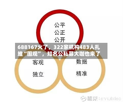 688167火了，322家机构483人扎堆“围观”，知名公私募大咖也来了-第3张图片