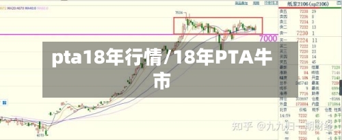 pta18年行情/18年PTA牛市
