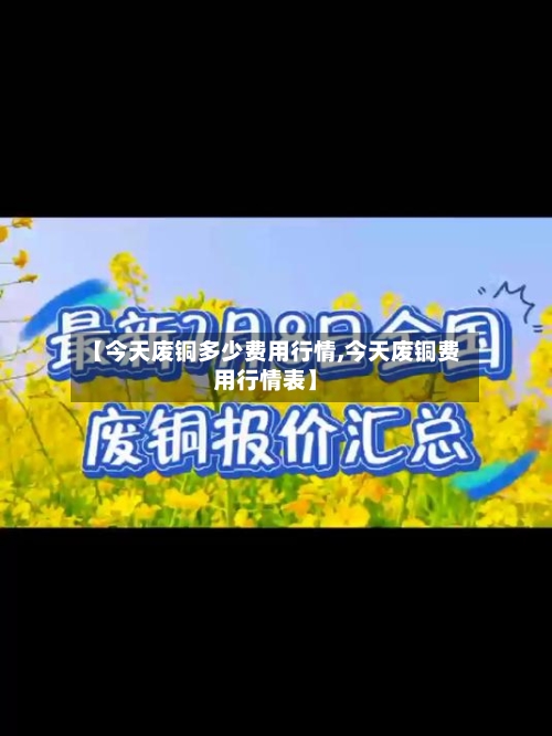 【今天废铜多少费用行情,今天废铜费用行情表】-第2张图片