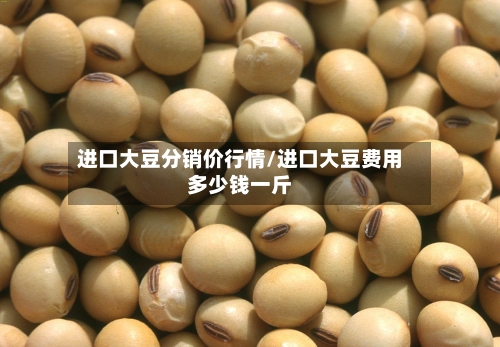 进口大豆分销价行情/进口大豆费用多少钱一斤-第2张图片