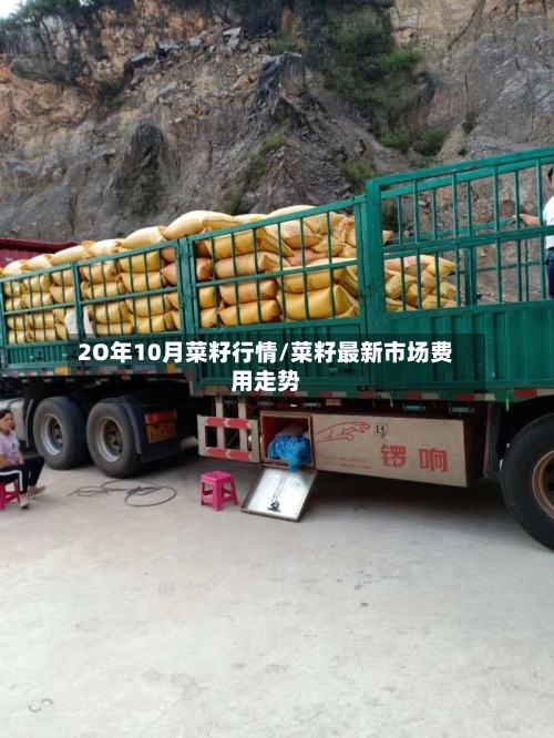 2O年10月菜籽行情/菜籽最新市场费用走势-第2张图片