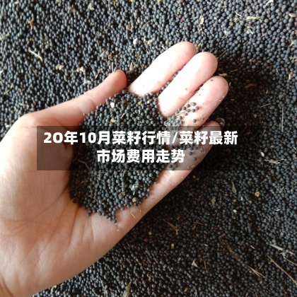 2O年10月菜籽行情/菜籽最新市场费用走势