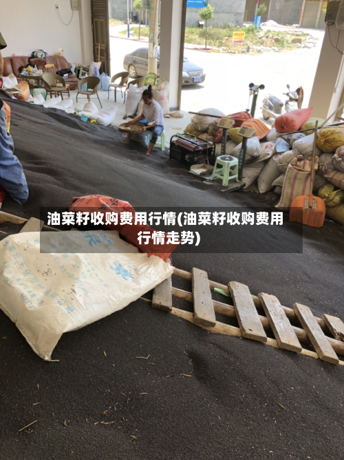 油菜籽收购费用行情(油菜籽收购费用行情走势)