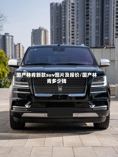 国产林肯新款suv图片及报价/国产林肯多少钱-第2张图片