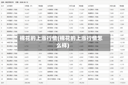 棉花的上涨行情(棉花的上涨行情怎么样)-第2张图片