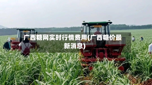 广西糖网实时行情费用(广西糖价最新消息)