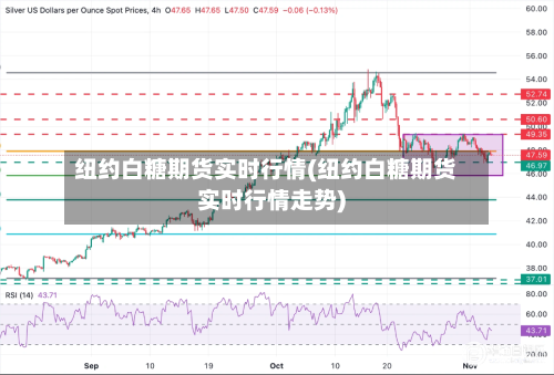 纽约白糖期货实时行情(纽约白糖期货实时行情走势)