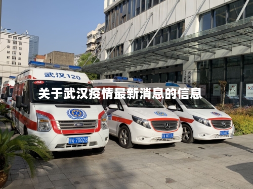 关于武汉疫情最新消息的信息