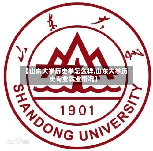 【山东大学历史学怎么样,山东大学历史专业就业情况】