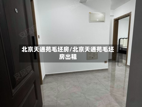 北京天通苑毛坯房/北京天通苑毛坯房出租-第3张图片