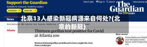 北京13人感染新冠病源来自何处?(北京的新冠)-第3张图片