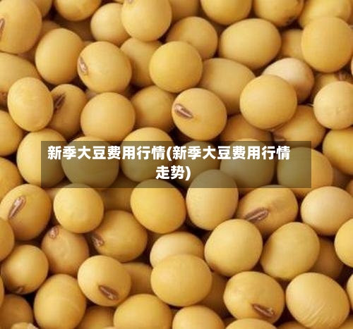 新季大豆费用行情(新季大豆费用行情走势)