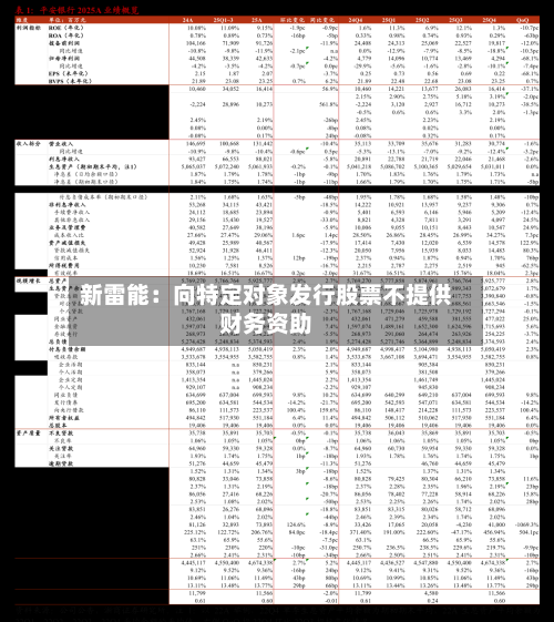 新雷能:向特定对象发行股票不提供财务资助-第3张图片