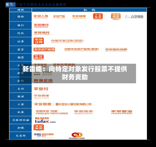 新雷能:向特定对象发行股票不提供财务资助-第2张图片