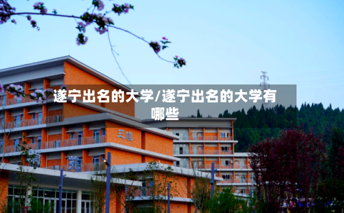 遂宁出名的大学/遂宁出名的大学有哪些