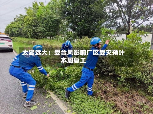 太湖远大：受台风影响厂区受灾预计本周复工-第2张图片