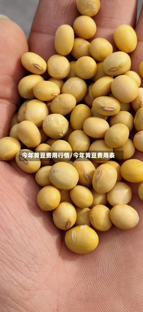 今年黄豆费用行情/今年黄豆费用表