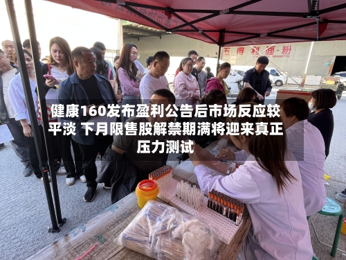 健康160发布盈利公告后市场反应较平淡 下月限售股解禁期满将迎来真正压力测试-第2张图片
