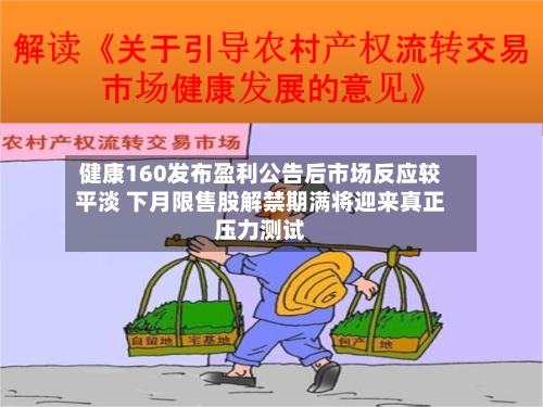 健康160发布盈利公告后市场反应较平淡 下月限售股解禁期满将迎来真正压力测试-第3张图片
