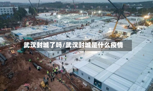 武汉封城了吗/武汉封城是什么疫情