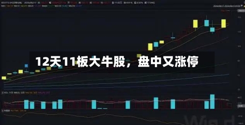 12天11板大牛股	，盘中又涨停-第3张图片