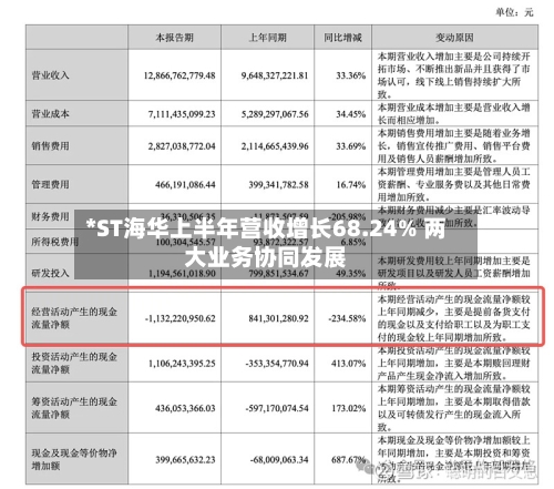 *ST海华上半年营收增长68.24% 两大业务协同发展-第1张图片
