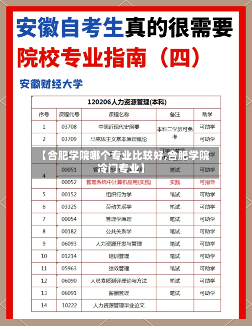 【合肥学院哪个专业比较好,合肥学院冷门专业】