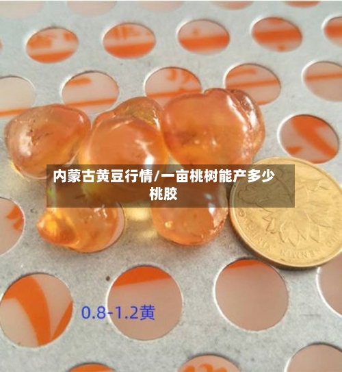 内蒙古黄豆行情/一亩桃树能产多少桃胶-第2张图片