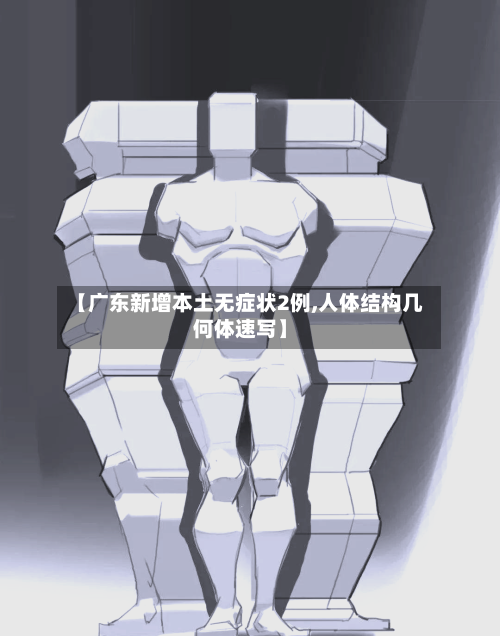 【广东新增本土无症状2例,人体结构几何体速写】-第3张图片