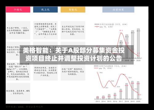 美格智能：关于A股部分募集资金投资项目终止并调整投资计划的公告