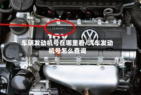 车辆发动机号在哪里看/汽车发动机号怎么查询