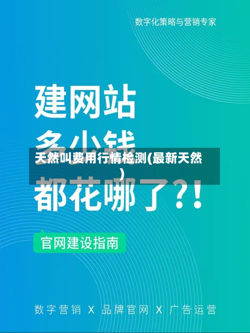 天然叫费用行情检测(最新天然)