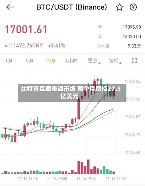 比特币巨鲸重返市场 两个月增持27.5亿美元