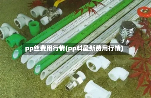 pp丝费用行情(pp料最新费用行情)-第2张图片