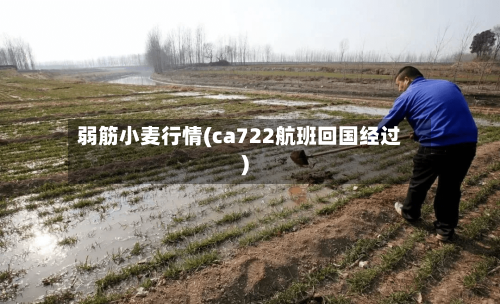 弱筋小麦行情(ca722航班回国经过)-第2张图片