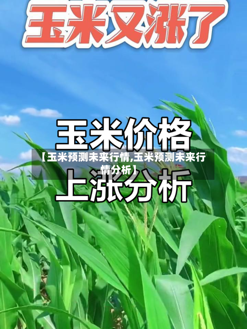 【玉米预测未来行情,玉米预测未来行情分析】-第2张图片