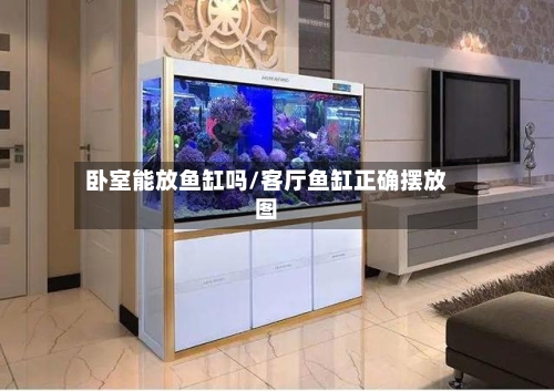 卧室能放鱼缸吗/客厅鱼缸正确摆放图