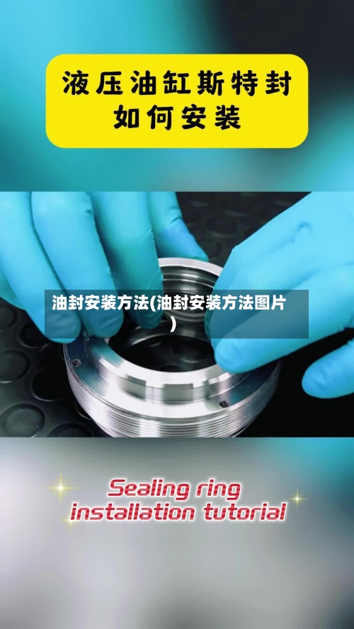 油封安装方法(油封安装方法图片)-第2张图片
