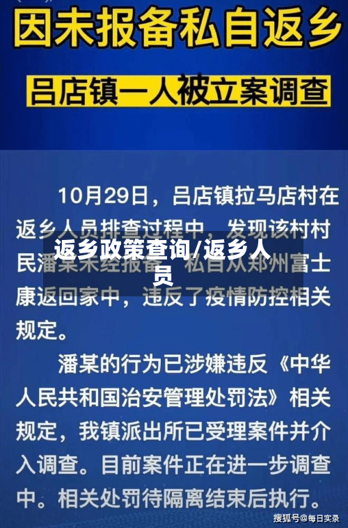 返乡政策查询/返乡人员