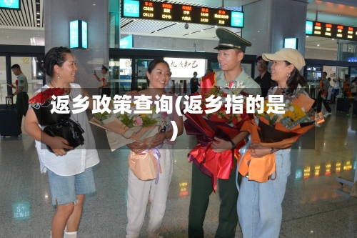 返乡政策查询(返乡指的是)