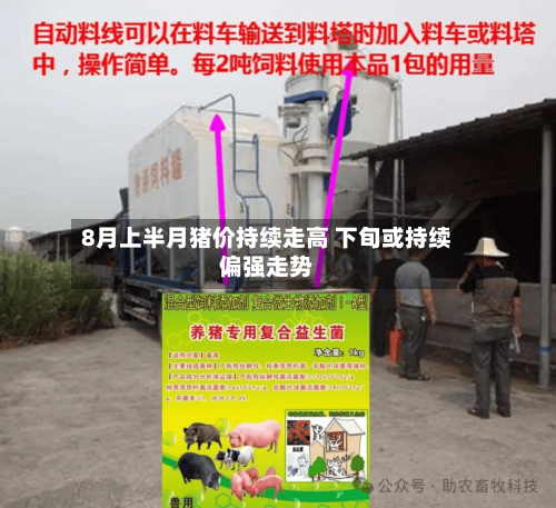 8月上半月猪价持续走高 下旬或持续偏强走势-第2张图片