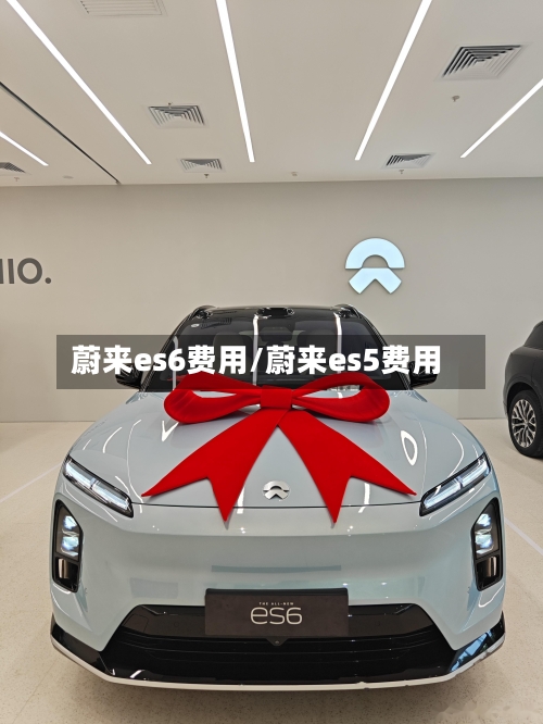 蔚来es6费用/蔚来es5费用-第2张图片