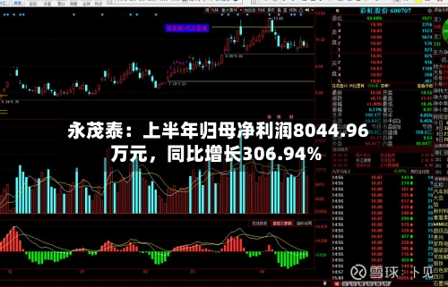 永茂泰：上半年归母净利润8044.96万元，同比增长306.94%-第2张图片