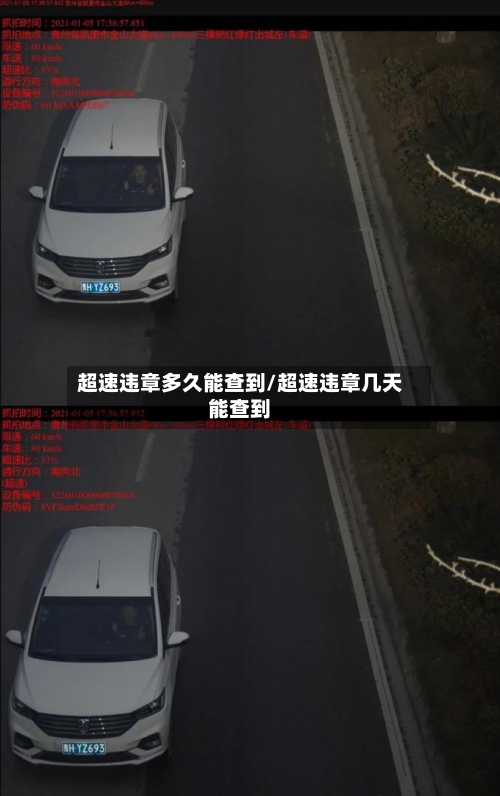 超速违章多久能查到/超速违章几天能查到