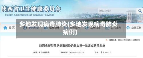 多地发现病毒肺炎(多地发现病毒肺炎病例)-第2张图片