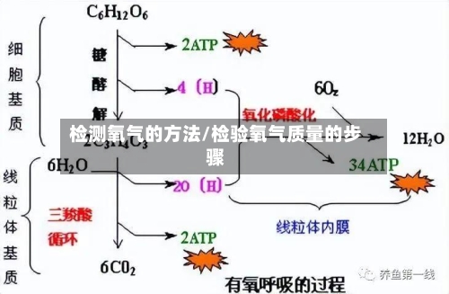 检测氧气的方法/检验氧气质量的步骤-第3张图片