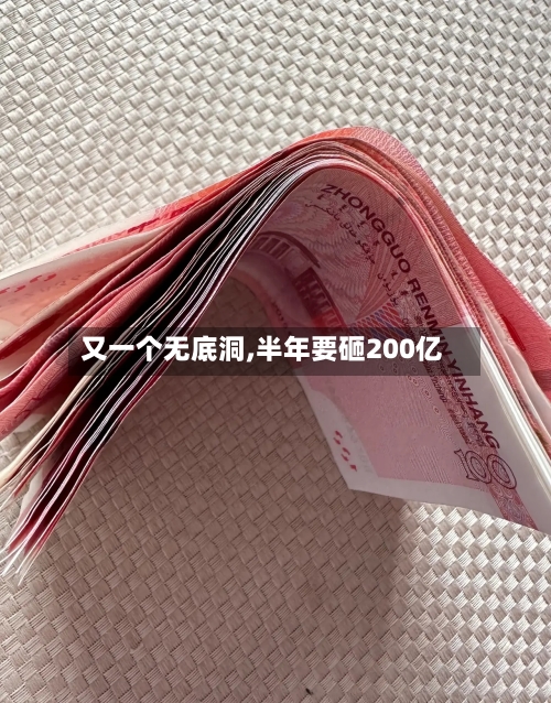 又一个无底洞,半年要砸200亿-第1张图片