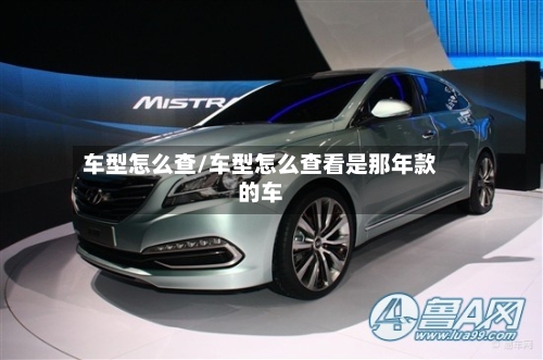 车型怎么查/车型怎么查看是那年款的车