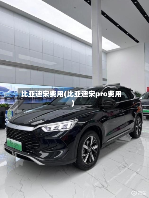比亚迪宋费用(比亚迪宋pro费用)-第2张图片
