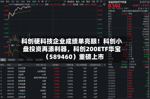 科创硬科技企业成绩单亮眼！科创小盘投资再添利器，科创200ETF华宝（589460）重磅上市-第2张图片
